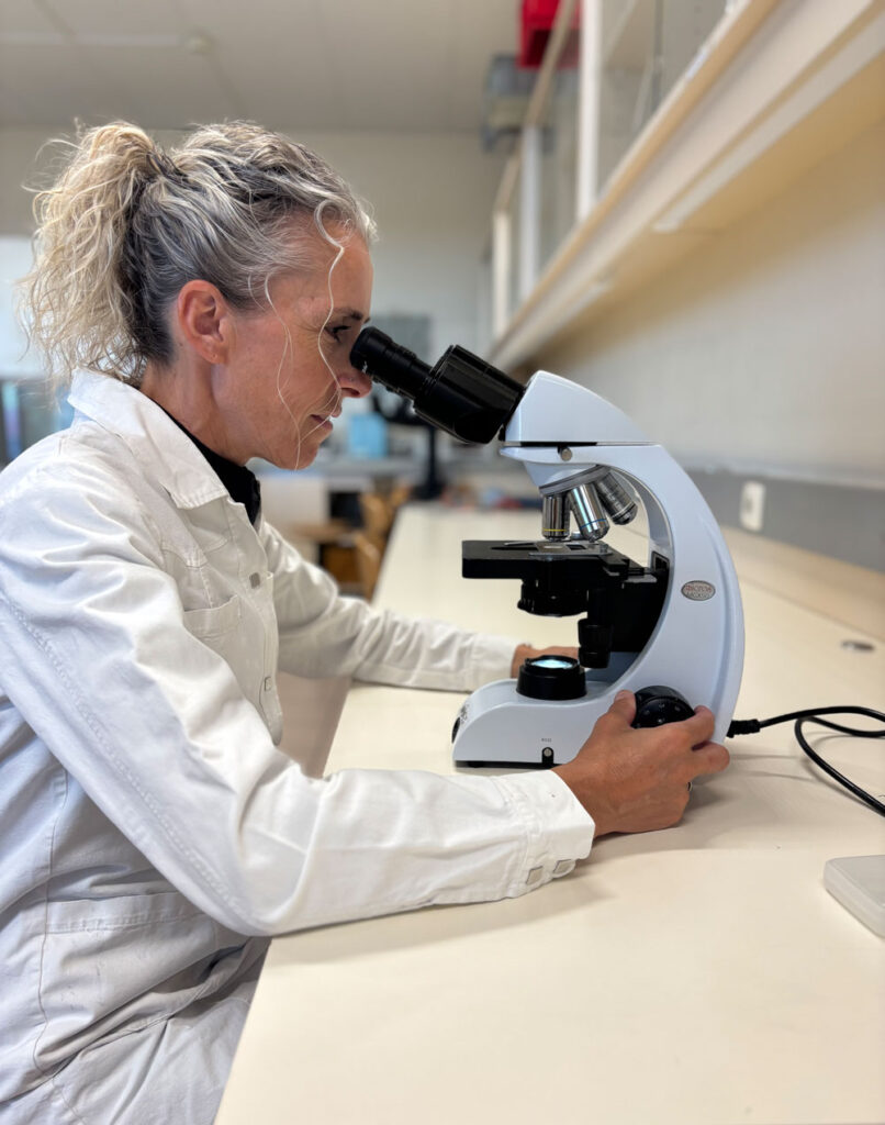 Kerstin Spindler am Mikroskop im Labor des Fleisch-Technologiezentrums Hollabrunn FTZ